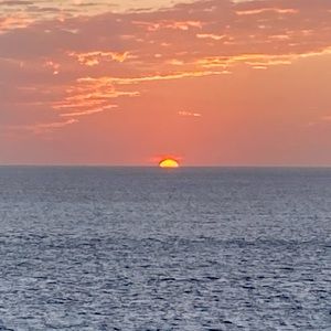 Meet your Posher, Flora